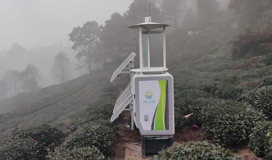 �x�錍(sh��)�r�O(ji��n)�y���r(n��ng)�I(y��)������Ӱ�����Щ��