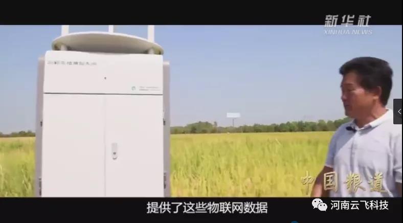新華社《中國糧道》報道|云飛植保信息化系統(tǒng)在安徽科學(xué)院示范基地的應(yīng)用