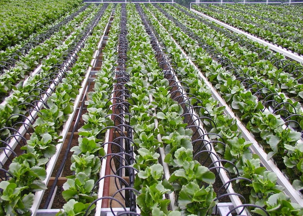 ˮһwă(yu)(sh)@ֲԽ(li)Խ