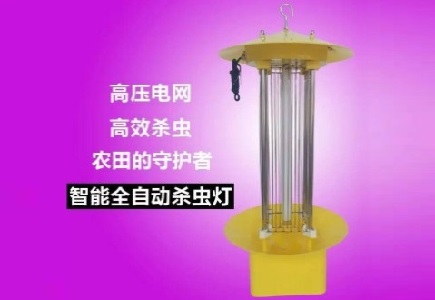 泰州西郊哈密瓜大棚利用殺蟲燈殺蟲徹底放棄農(nóng)藥