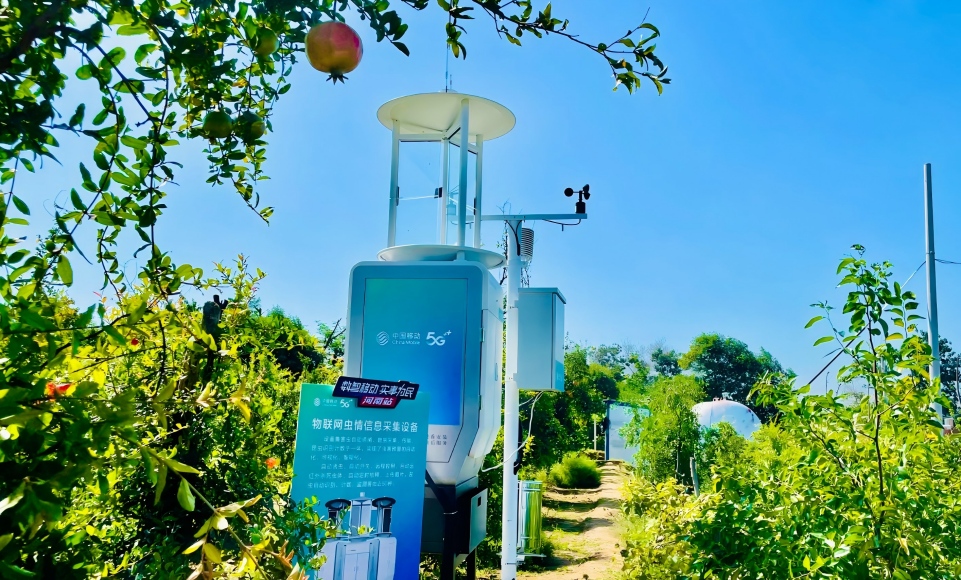 ����x���m�ϵ��x��y(c��)��(b��o)����