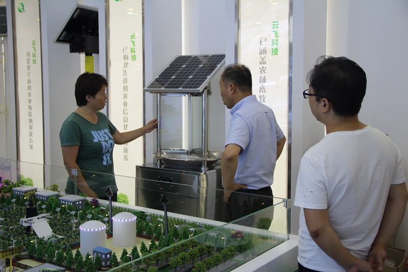 ݵ؝ҹϯ(zhun)I(yng)WRw ۶Ӽg(sh)