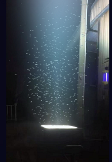 w߿՜y-ܱO(jin)yݵ؝ҹwwӑB(ti)