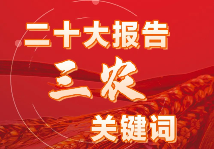 一圖速覽|二十大報告中的三農(nóng)關(guān)鍵詞