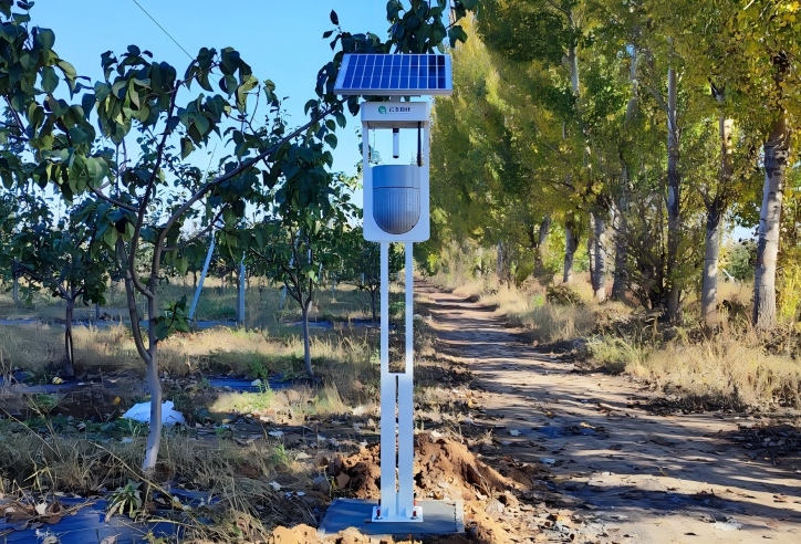 ��(li��n)�W(w��ng)�L��ʽ���x�����x������Ч��